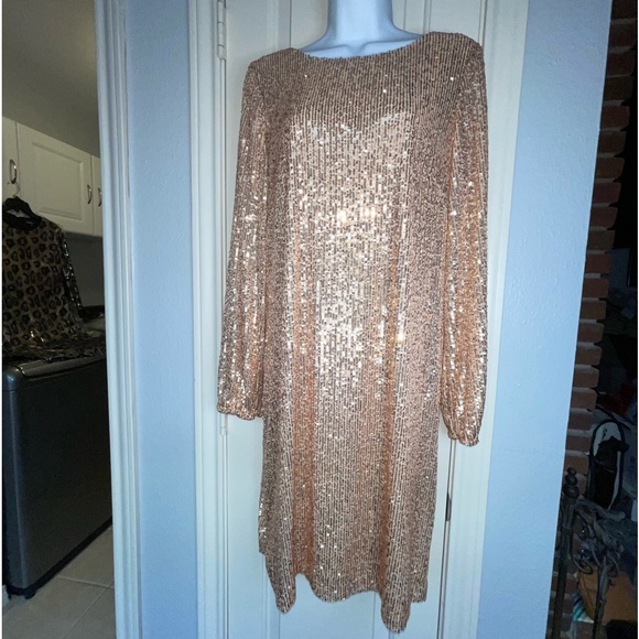 Preston & York Rosa Jewel Neck Long Blouson Sleeve Sequin Dress. Size 8.NWT! - Picture 6 of 12
